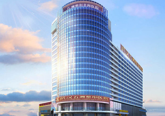 武漢五洲萊美整形大樓