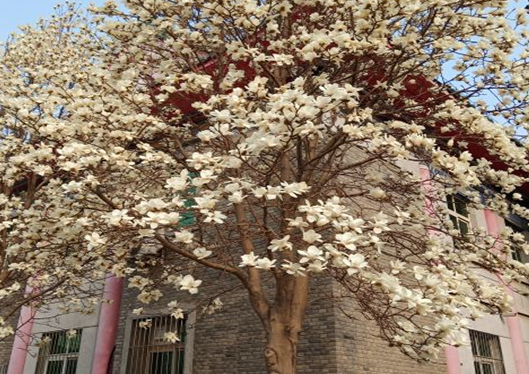 醫(yī)院內(nèi)環(huán)境