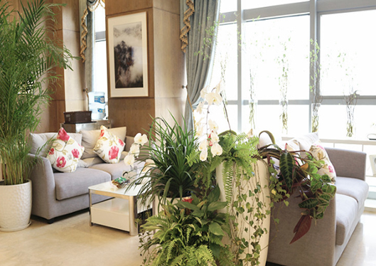 醫(yī)院沙發(fā)區(qū)