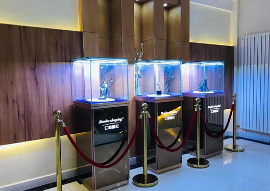 蘭州仁和整形醫(yī)院藝術(shù)品展示區(qū)